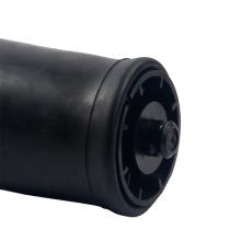 Rear Left Air Suspension Spring for BMW X5 E53
