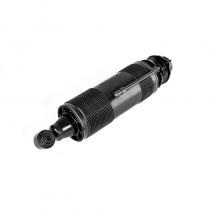 Rear Left Strut Shock for R230