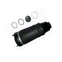 W251 Front Air Suspension Spring