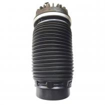 Dodge RAM Rear Air Spring
